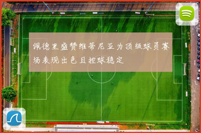 佩德里盛赞维蒂尼亚为顶级球员赛场表现出色且控球稳定