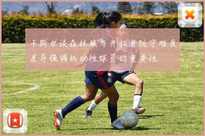 卡斯尔谈森林狼与开拓者防守难度差异强调机动性球员的重要性