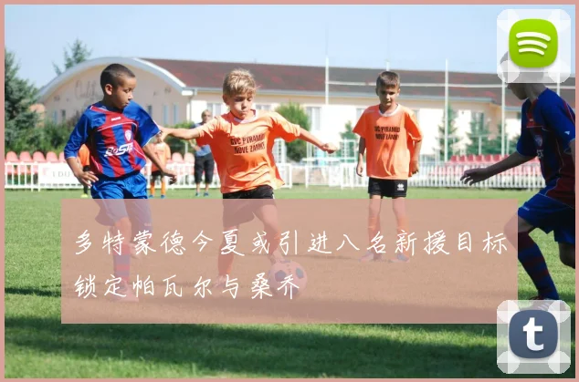 多特蒙德今夏或引进八名新援目标锁定帕瓦尔与桑乔