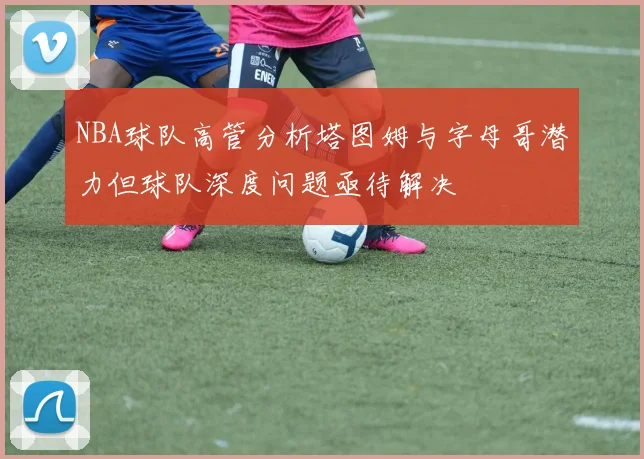 NBA球队高管分析塔图姆与字母哥潜力但球队深度问题亟待解决